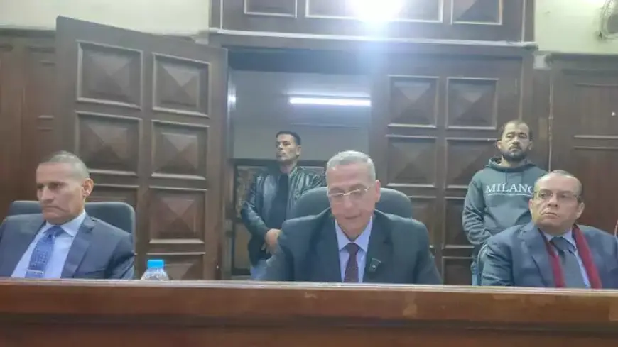 مادة سامة قتلت شخصين وأصابت 8 باختناق.. معاقبة المتهم في كارثة عزبة عويس بالغربية