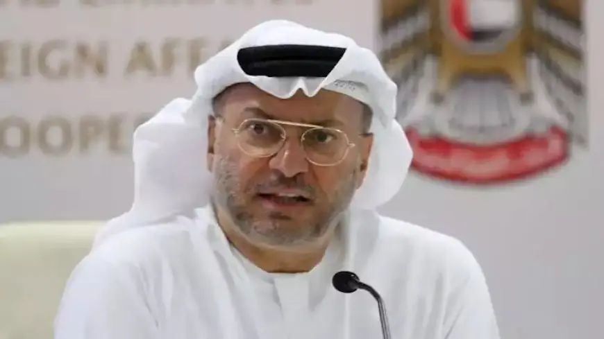وزير إماراتي: قلقون بشان الانتماءات الأيديولوجية لمُسقطي الأسد