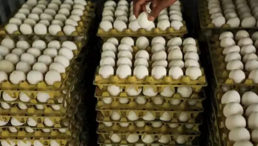 120 مليون دولار استثمارات تركية جديدة في المنطقة الصناعية في غرب القنطرة