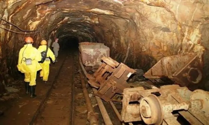 انهيار منجم ذهب في مالي يودي بحياة 49 شخصا
