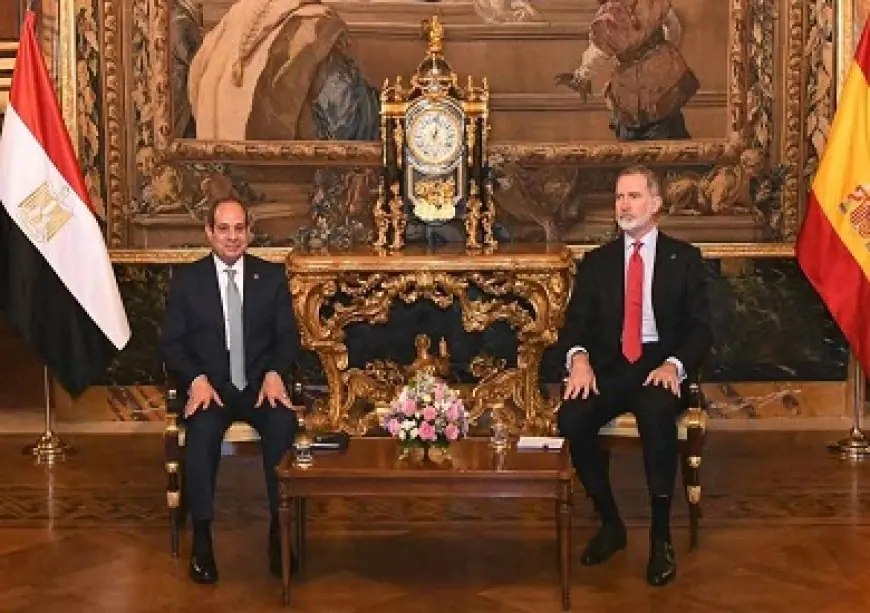 مصر وإسبانيا في بيان مشترك: ملتزمون بدعم استقرار منطقة المتوسط ورفض تهجير الفلسطينيين من أرضهم