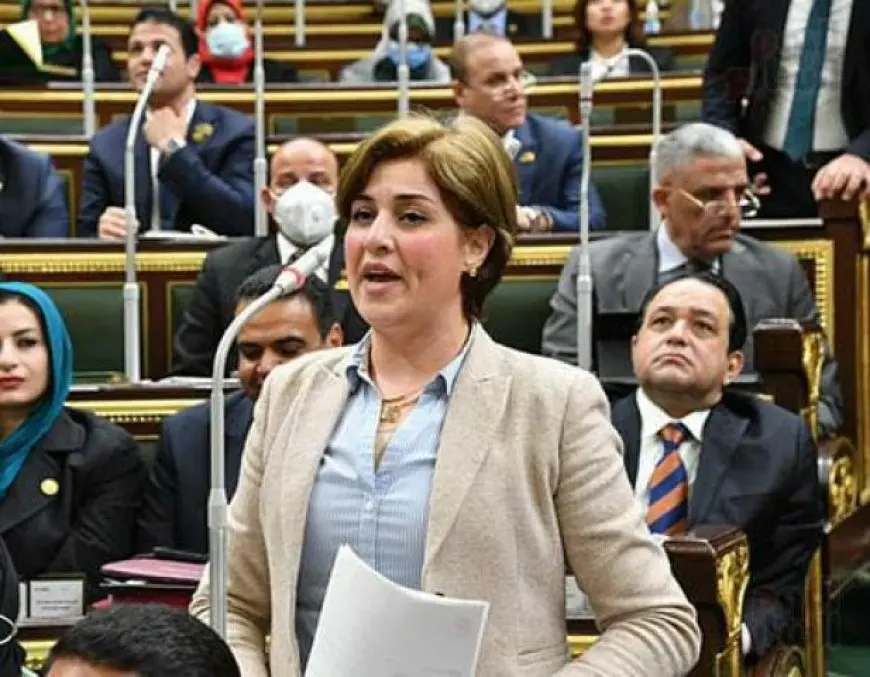النائبة إيمان العجوز تُشيد بمشروع قانون الإجراءات الجنائية الجديد: إنجاز تاريخي يُعزز حماية حقوق المواطن