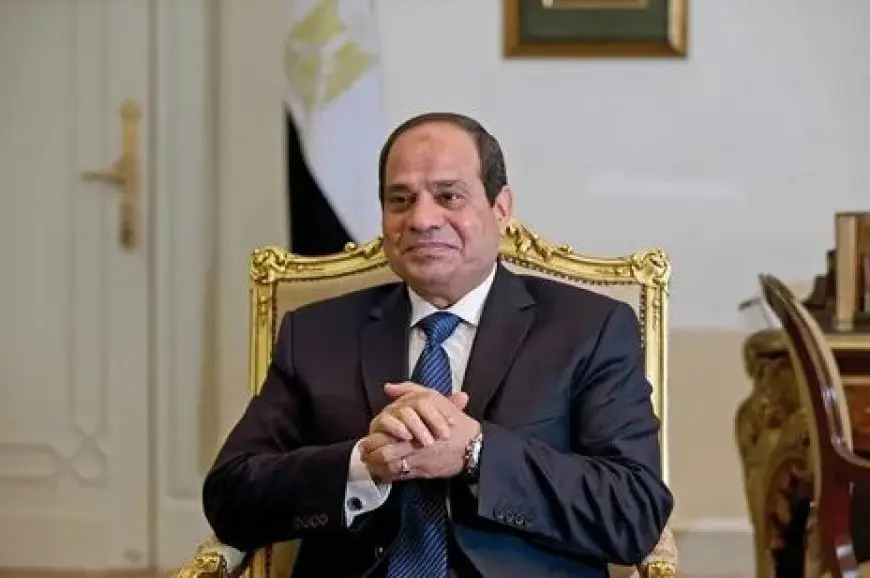 الرئيس السيسي ورئيسة النواب القبرصي يبحثان تطورات الأوضاع الإقليمية والدولية