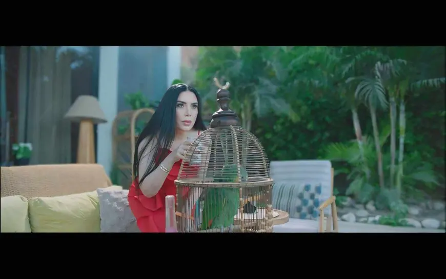 مسلسل الحلانجي الحلقة 1.. بغبغان يثير أزمة بين عبير صبري وزوجها
