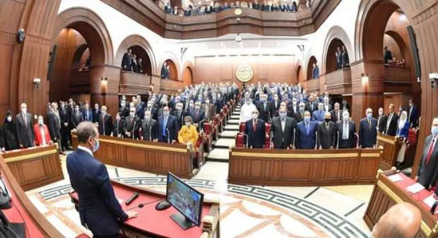 مجلس الشيوخ يناقش برامج المساندة التصديرية ودعم الصادرات المصرية