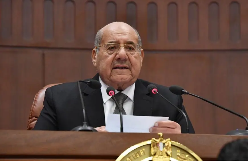 وكيل مجلس الشيوخ: دعم الصادرات المصرية ركيزة أساسية لتحقيق تنمية اقتصادية شاملة ومستدامة