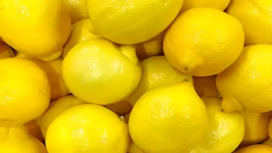 سعر الليمون يقفز بشكل مفاجئ إلى 100 جنيه مع دخول رمضان.. ما السبب؟