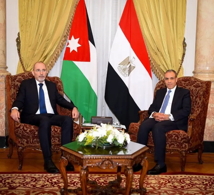 قبل قمة القاهرة.. وزير الخارجية ونظيره الأردني يشددان على رفضهما القاطع لتهجير الفلسطينيين