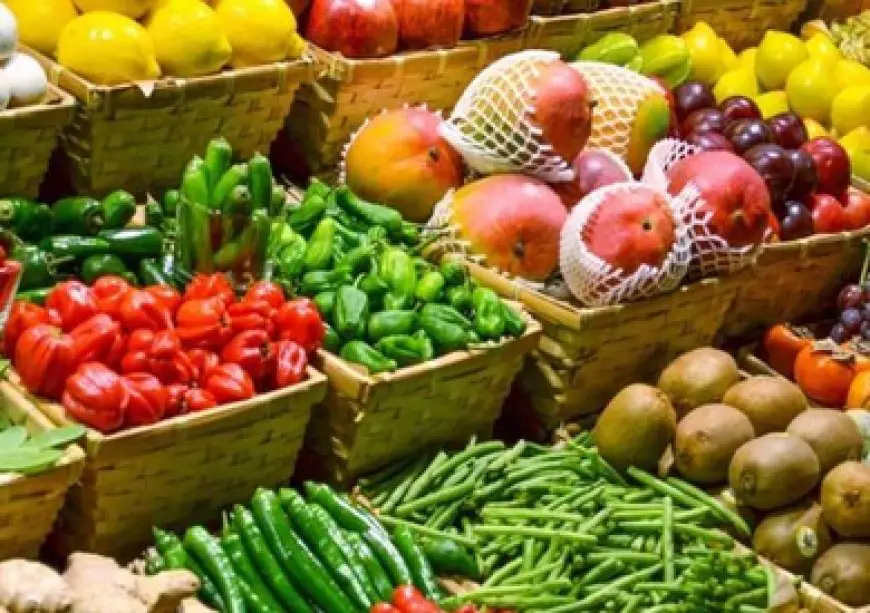  صادرات الإسماعيلية الزراعية تحقق 36 مليون دولار صادرات الإسماعيلية الزراعية خلال شهرين