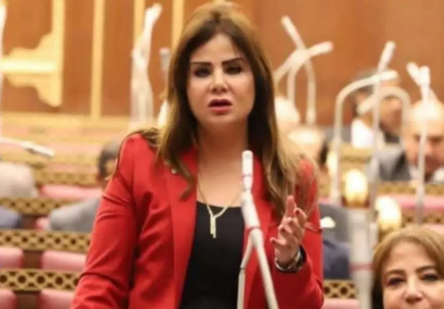النائبة أمل رمزي: البيان الختامي للقمة العربية عبر عن إرادة مشتركة وقدم حلولا مستدامة