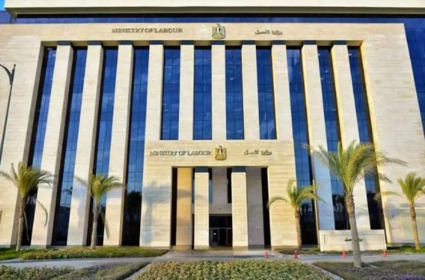 وزارة العمل: 960 فرصة عمل بـ49 شركة قطاع خاص في 10 محافظات