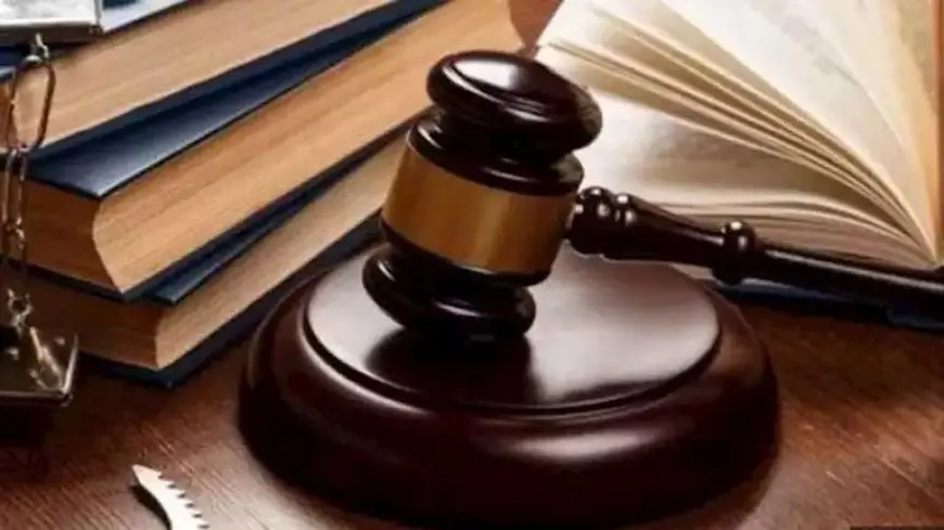 قانون الإجراءات الجنائية.. ننشر ضوابط حماية الشهود والمبلغين