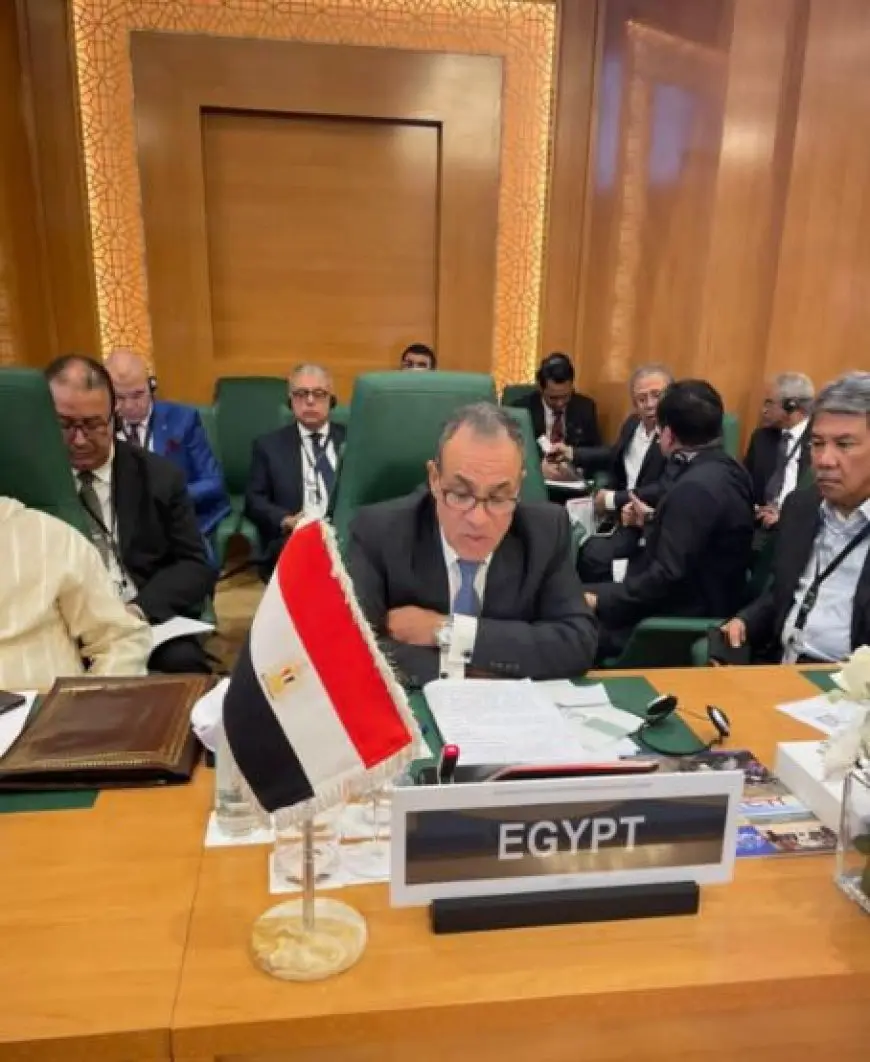 وزير الخارجية والهجرة يشارك في الدورة الاستثنائية لمجلس وزراء خارجية الدول الأعضاء في منظمة التعاون الإسلامي