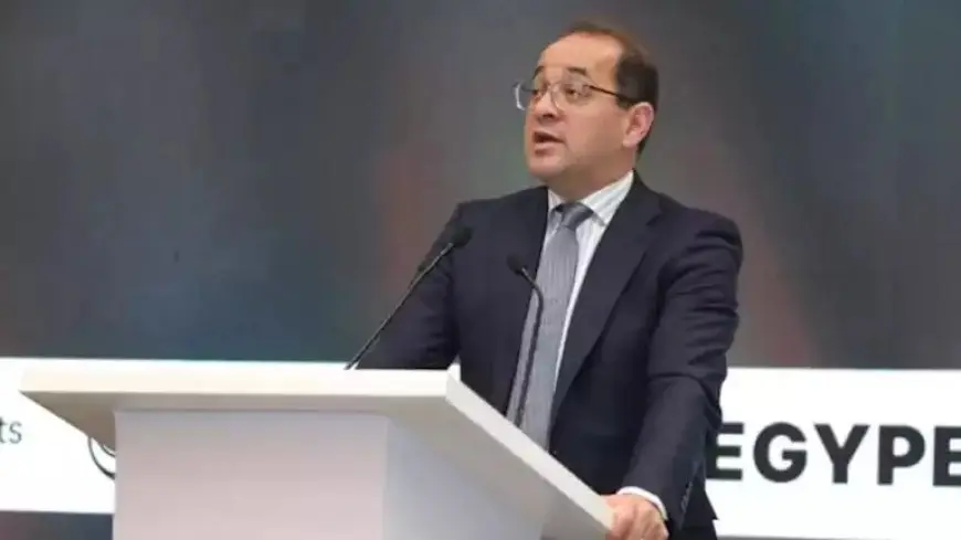 وزير المالية: الايرادات الضريبية حققت أعلى معدل إذا ما حيدنا انخفاض ضرائب قناة السويس