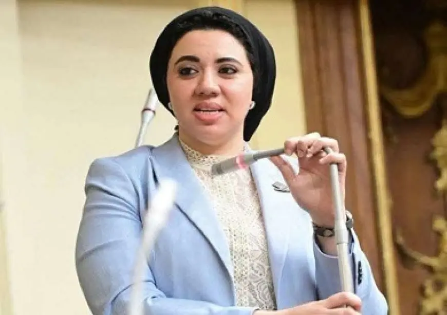 طلب إحاطة لوزير الزراعة بشأن التقلبات الحادة في أسعار الخضروات وتأثيرها السلبي على المزارعين