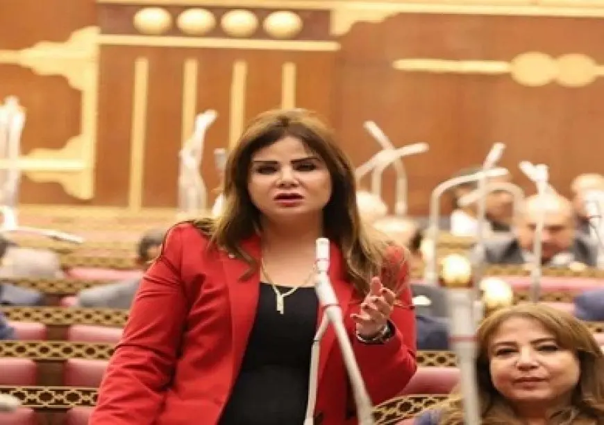 النائبة أمل رمزي: مكتسبات المرأة المصرية في عهد السيسي تاريخية وغير مسبوقة