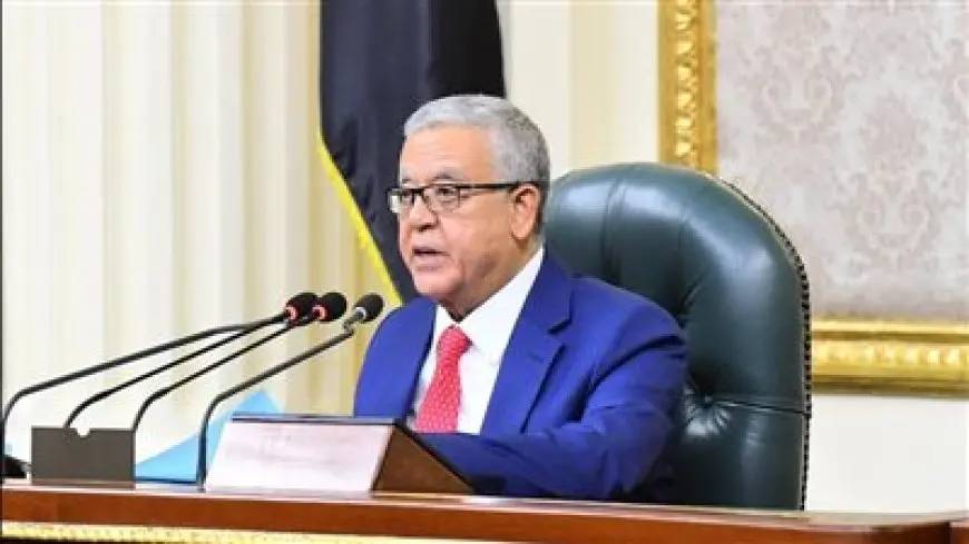 مجلس النواب يوافق على منحة تنفيذ برنامج التنمية الاقتصادية والاجتماعية بين مصر واليابان.. ما أهدافها؟
