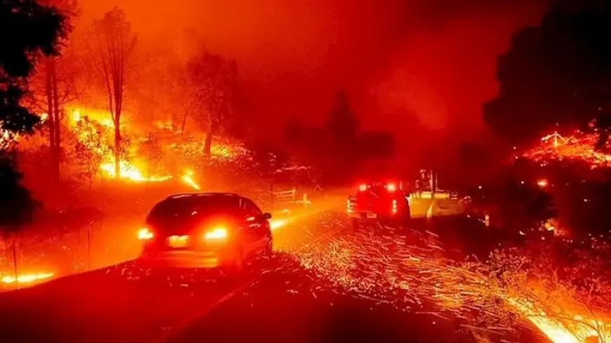 مصرع 16 شخصا وإصابة 19 آخرين في حرائق الغابات بكوريا الجنوبية