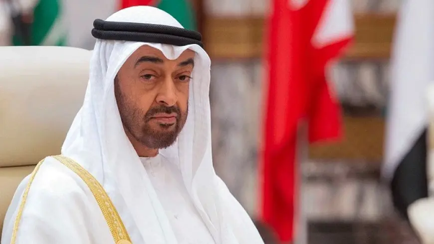 رئيسا الإمارات وأمريكا يبحثان الجهود المبذولة تجاه وقف إطلاق النار في غزة
