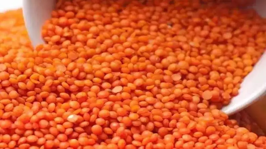 انخفاض العدس.. أسعار السلع الأساسية اليوم بالأسواق