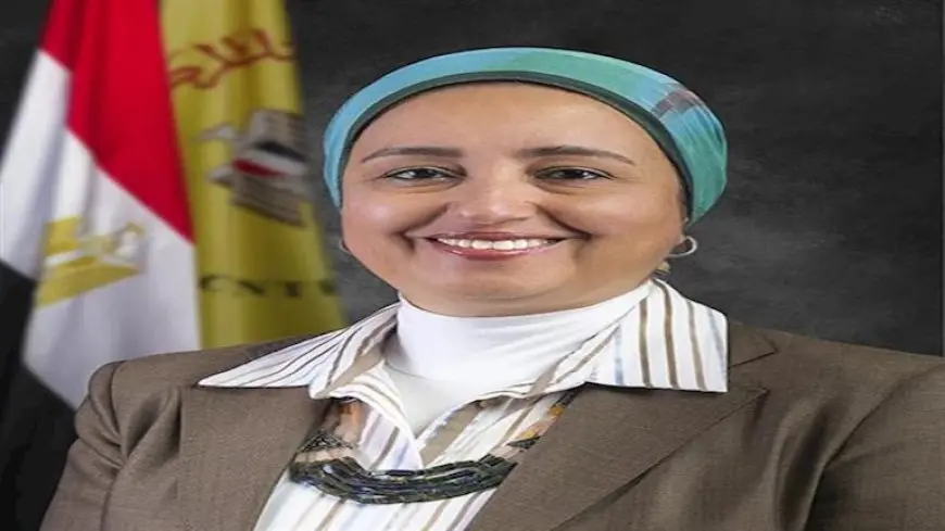 أول امرأة ترأس المصرية للاتصالات.. ماذا نعرف عن لبنى هلال؟