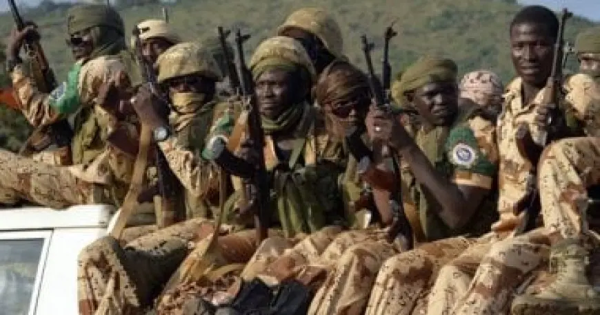 مسلحون يقتلون 12 جنديا في الكاميرون في هجوم بالقرب من بحيرة تشاد