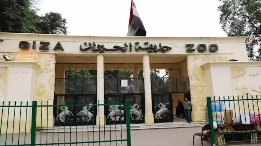 آخر تطورات أعمال الإنشاء لحديقة الحيوان.. الانتهاء من شراء جميع الحيونات والفصايل الجديدة