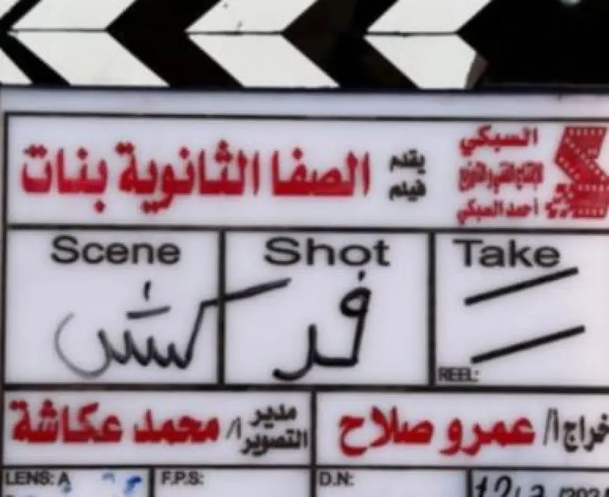 فيلم «الصفا الثانوية بنات» يحقق المركز الثاني في شباك التذاكر