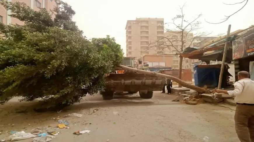 اقتلعت أشجارًا ولافتات.. عاصفة ترابية تضرب مطروح في أول أيام العيد (صور)