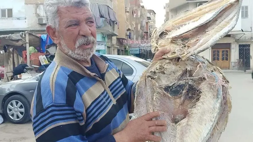 من موائد الفايكنج إلى عيد الفطر.. قصة “البكالا” في مصر -صور