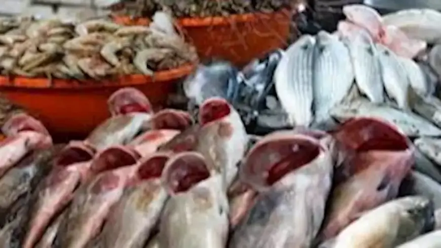 تعرف على أسعار السمك والمأكولات البحرية في سوق العبور اليوم الأربعاء