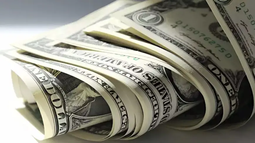 ارتفاع سعر الدولار في 9 بنوك بنهاية تعاملات اليوم