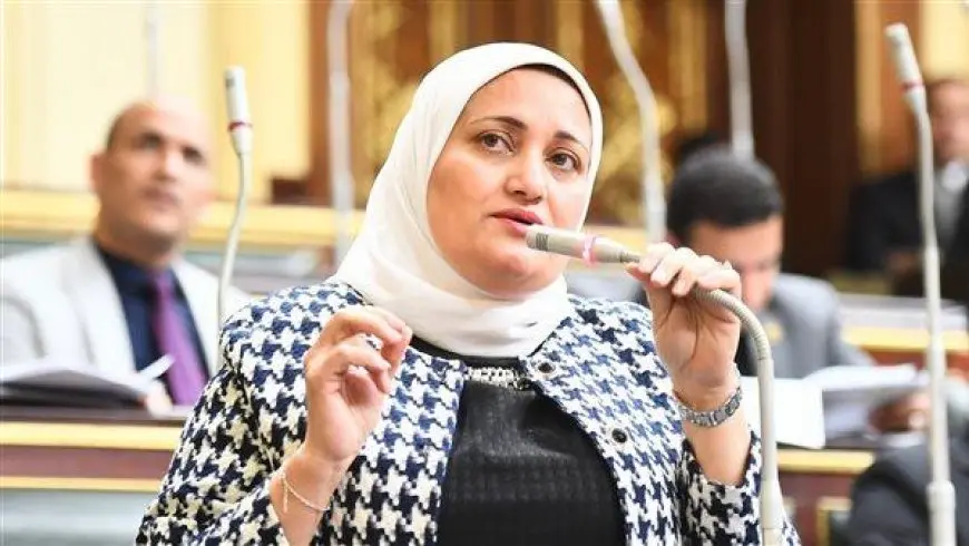 النائبة سناء السعيد تتقدم بطلب إحاطة حول مخالفات صندوق التأمين الخاص بمعلمي مصر