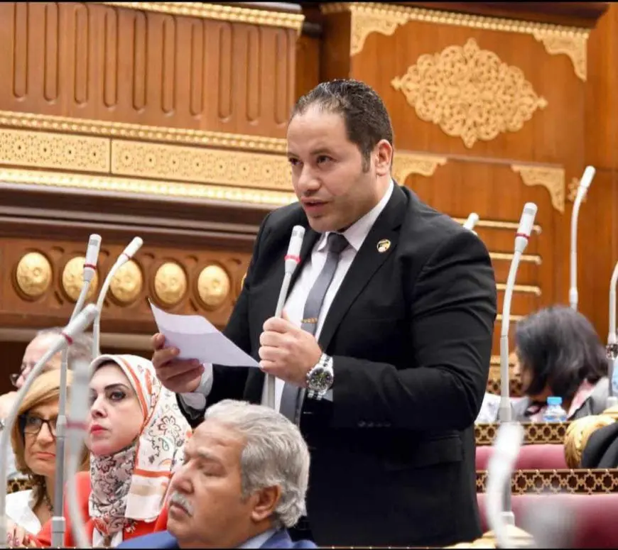 النائب مصطفى سالمان: زيارة ماكرون لمصر تأكيد لدور البلاد المحوري في المنطقة