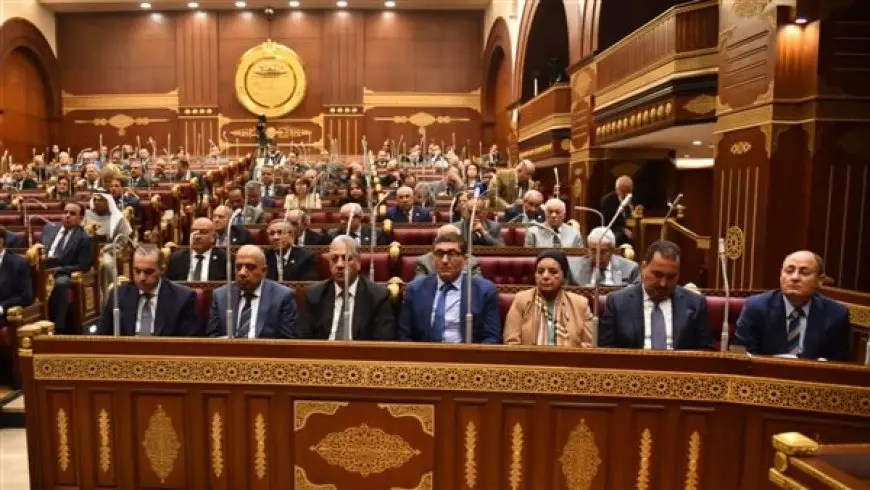 مجلس الشيوخ يناقش تعزيز دور النافذة الواحدة للإفراج الجمركي