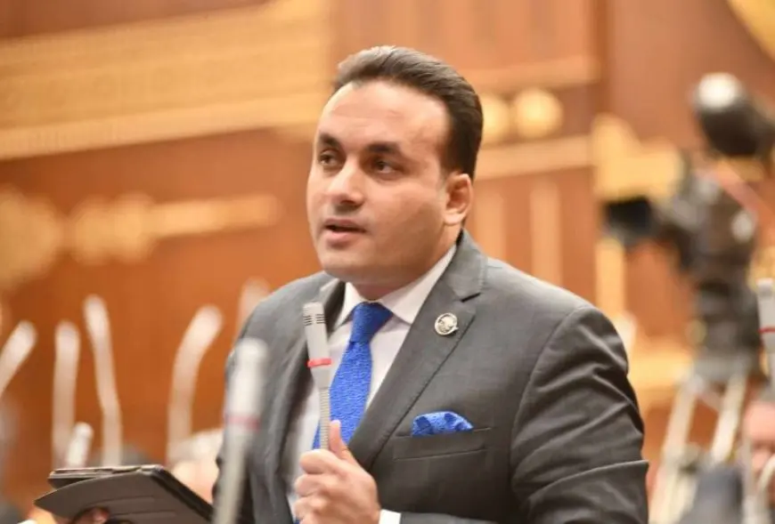 النائب عمرو فهمي: استضافة مصر للقمة المصرية الفرنسية الأردنية يؤكد دورها المحوري لوقف نزيف الدماء بغزة