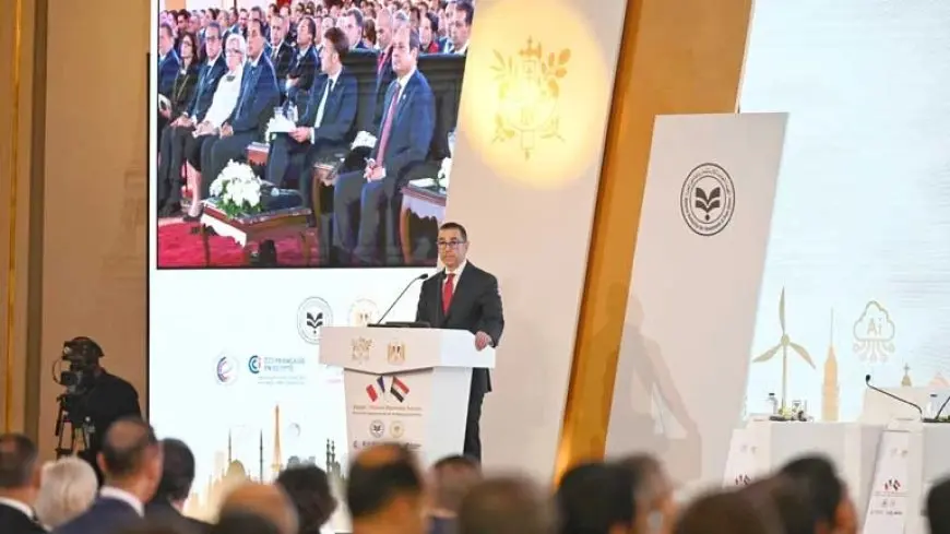 وزير الاستثمار: 7.7 مليار دولار حجم الاستثمارات الفرنسية الحالية في مصر