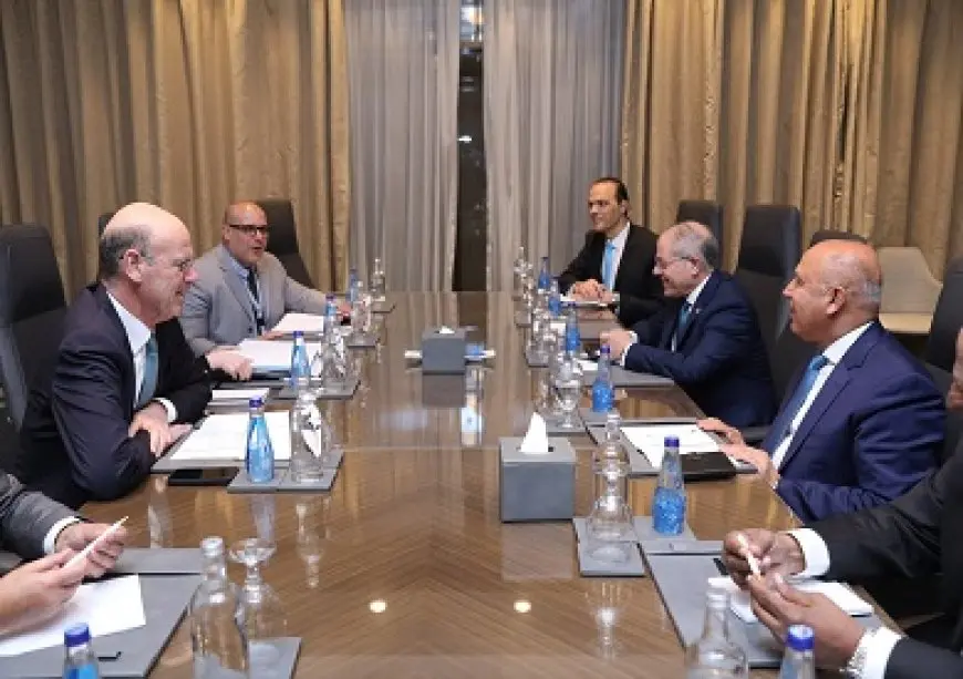 وزير الصناعة: نهتم بالتعاون مع فرنسا في إنشاء مصانع لإنتاج خلايا الطاقة الشمسية
