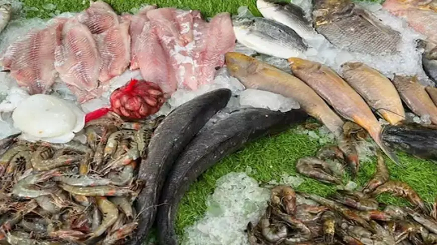 80 جنيهًا لكيلو البلطي.. أسعار السمك والمأكولات البحرية في سوق العبور اليوم