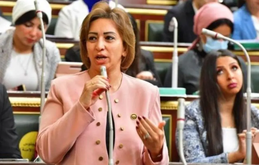 النائبة مها عبدالناصر توضح سبب اعتراضها على الحساب الختامي: القروض لا تستخدم والمنح لا تستغل