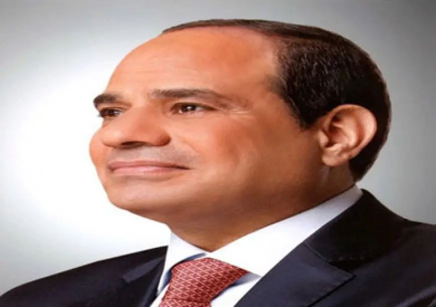 السيسي يؤكد لرئيسة الجمعية الوطنية لسلوفينيا ضرورة إقامة الدولة الفلسطينية