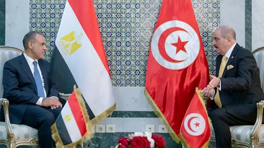 توافق مصري تونسي على ضرورة دعم مسار الحل الليبي – الليبي دون أى تدخلات خارجية