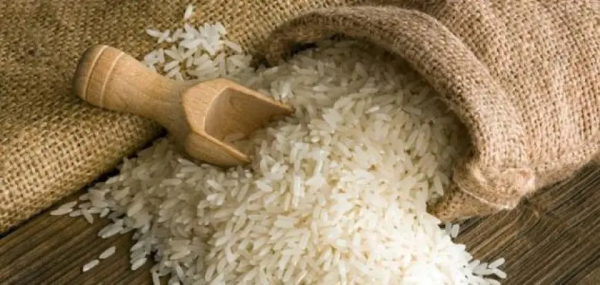 رغم الحظر.. 1161% زيادة في قيمة صادرات الأرز خلال يناير الماضي