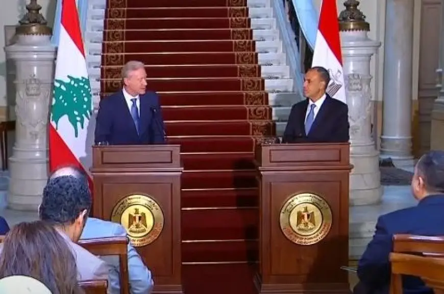 وزير الخارجية: الرئيس السيسي يدعم بشكل كامل الدولة اللبنانية ومؤسساتها الوطنية