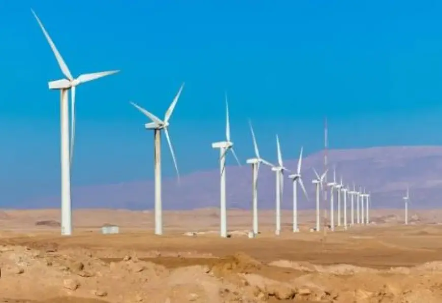 انخفاض إنتاج الطاقة المتجددة بألمانيا في الربع الأول من 2025