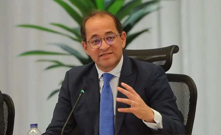 وزير المالية: الاستثمارات الخاصة زادت في مصر 80% سنويا