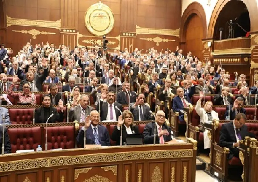 مجلس الشيوخ يناقش الأمن السيبراني وتجديد الخطاب الديني الأسبوع المقبل