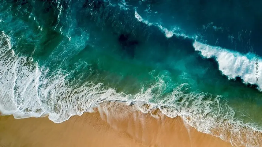 سفير فرنسا بالقاهرة يكتب: «نحن المحيط We are the Ocean»