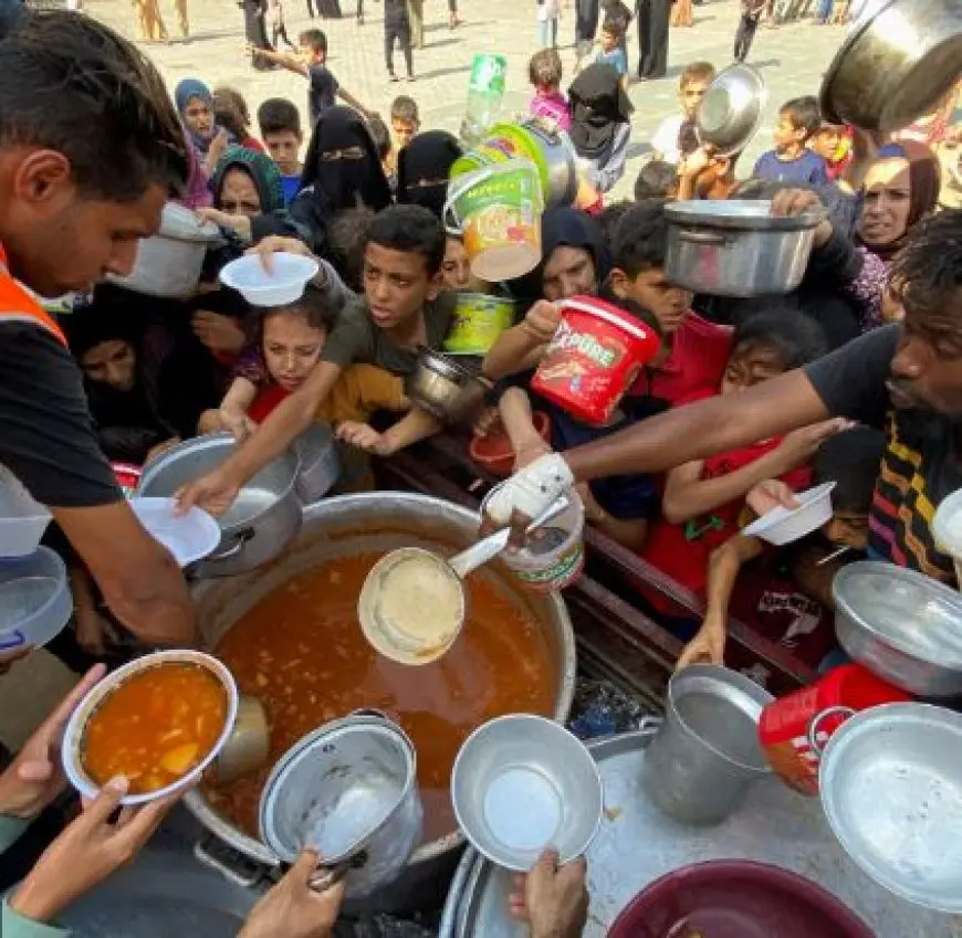 المقررة الأممية المعنية بحقوق الإنسان في الأراضي الفلسطينية: جوع الغزيين عار على المجتمع الدولي