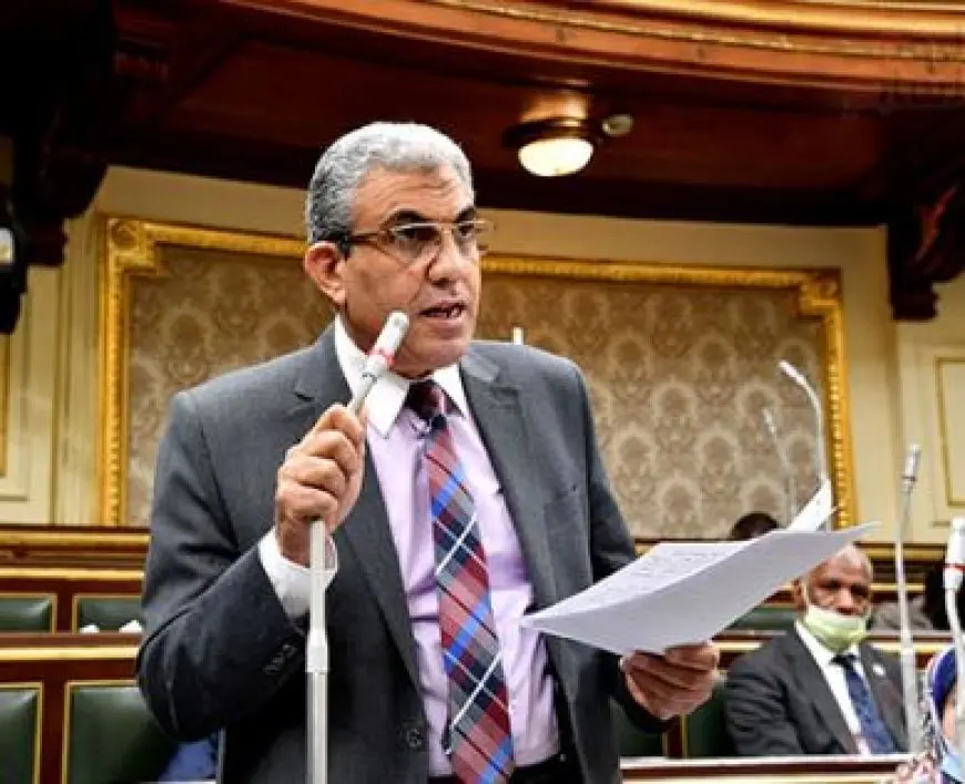 رئيس القوى العاملة بالنواب: 30 مليون مستفيد من قانون العمل الجديد ومزايا عمالية جديدة